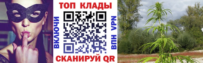 Какие есть наркотики Новокузнецк Конопля  Альфа ПВП  ГАШИШ  ОМГ ОМГ как зайти  Мефедрон 