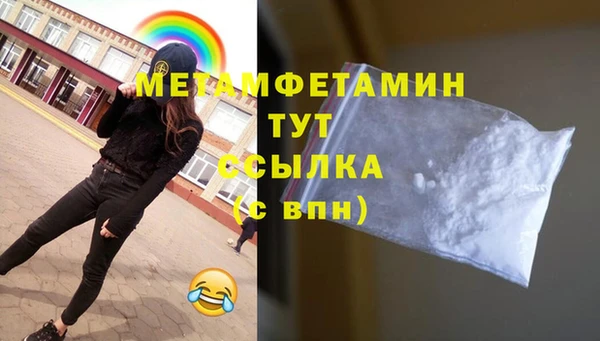 шишки Надым